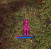 ŏ
